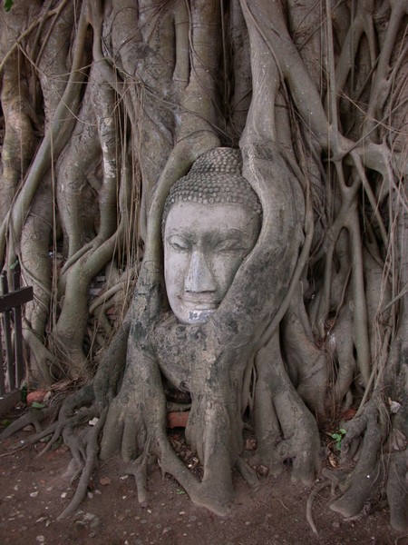 Wat Phra Mahathat